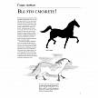 Фотографии продукта Учимся рисовать лошадей (2-е издание)
