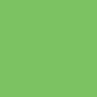 Картон А4, 300 г/м2, светло-зеленый, "FOLIA"