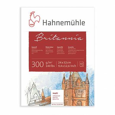 Блок для акварели Britannia Hahnemuhle, 24х32см, 12 листов, 300 г/м2, холодное прессование