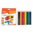 Фотографии продукта Карандаши цветные пластиковые "Color Run" 24 цвета в картонной упаковке
