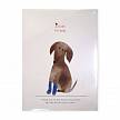 Фотографии продукта Скетчбук 210х285мм, 64 листа, белая бумага, мягкая обложка, серия "Собаки"