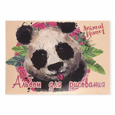 Альбом для рисования "Панда", "Лиса с бабочкой", 40 листов, клей, А4, 2 дизайна