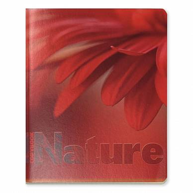Тетрадь в клетку, 96 листов, А5 "Природа" Грин, 5 дизайнов