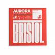 Фотографии продукта Альбом-склейка Bristol RAW Aurora, 18х18см, 300 г/м2, 20 листов